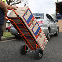 removalists 2